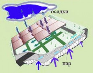 мембраны